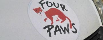 Килия подписала меморандум о сотрудничестве с международной организацией "Четыре лапы"